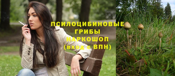 амф Переславль-Залесский
