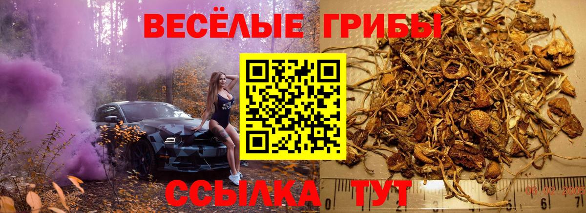 Псилоцибиновые грибы ЛСД Сухой Лог