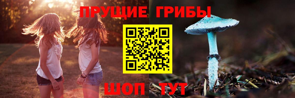 Сухой Лог  Псилоцибиновые грибы Psilocybine cubensis  сколько стоит  Вход с VPN  Псилоцибиновые грибы мицелий 