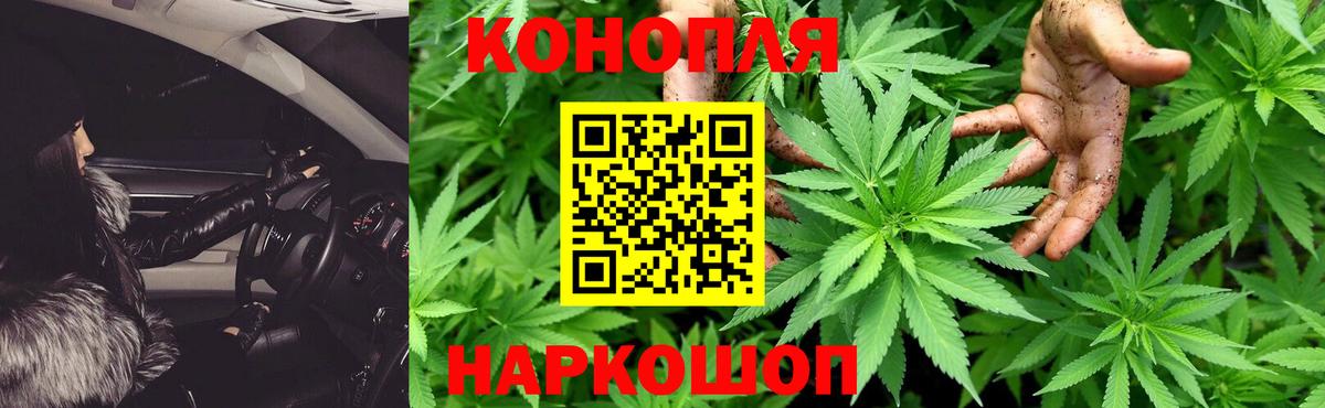 Канабис Bruce Banner  Вход с VPN  Шишки марихуана марихуана  Сухой Лог  Марихуана сатива 